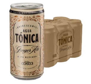 Tónica Ginger Ale Lata 269 ml.