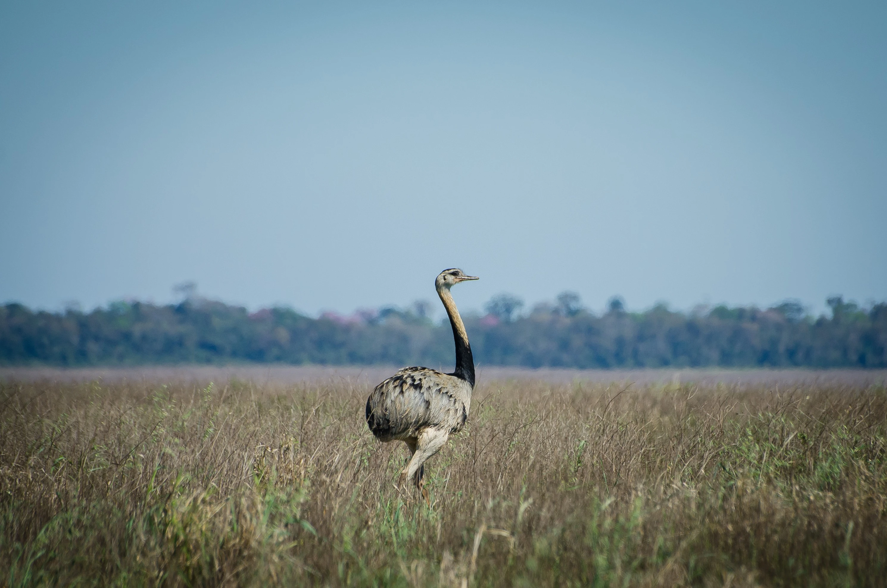 RESERVA NATURAL MOROMBI