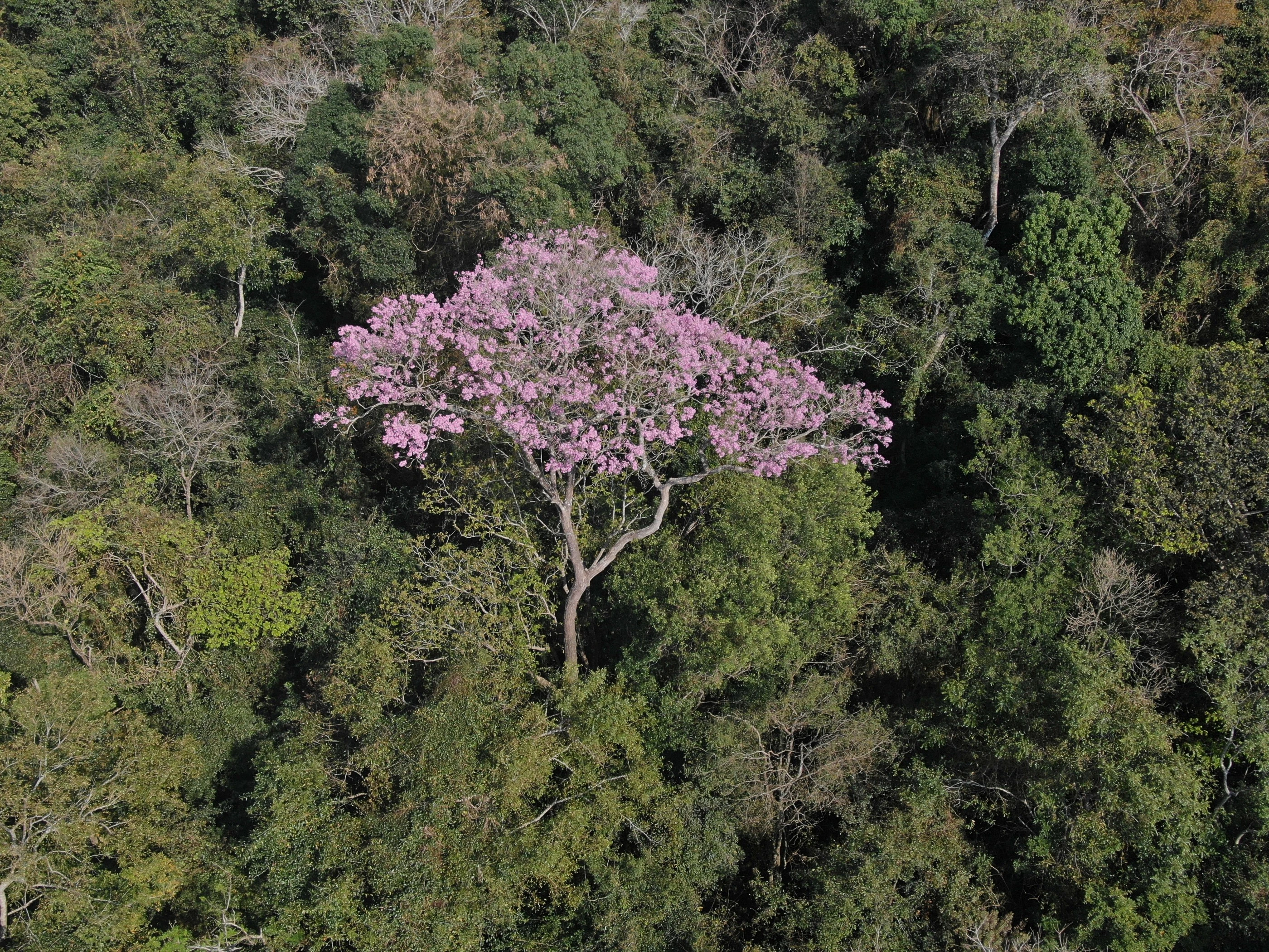 RESERVA NATURAL MOROMBI