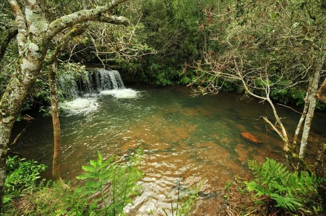 RESERVA NATURAL MOROMBI